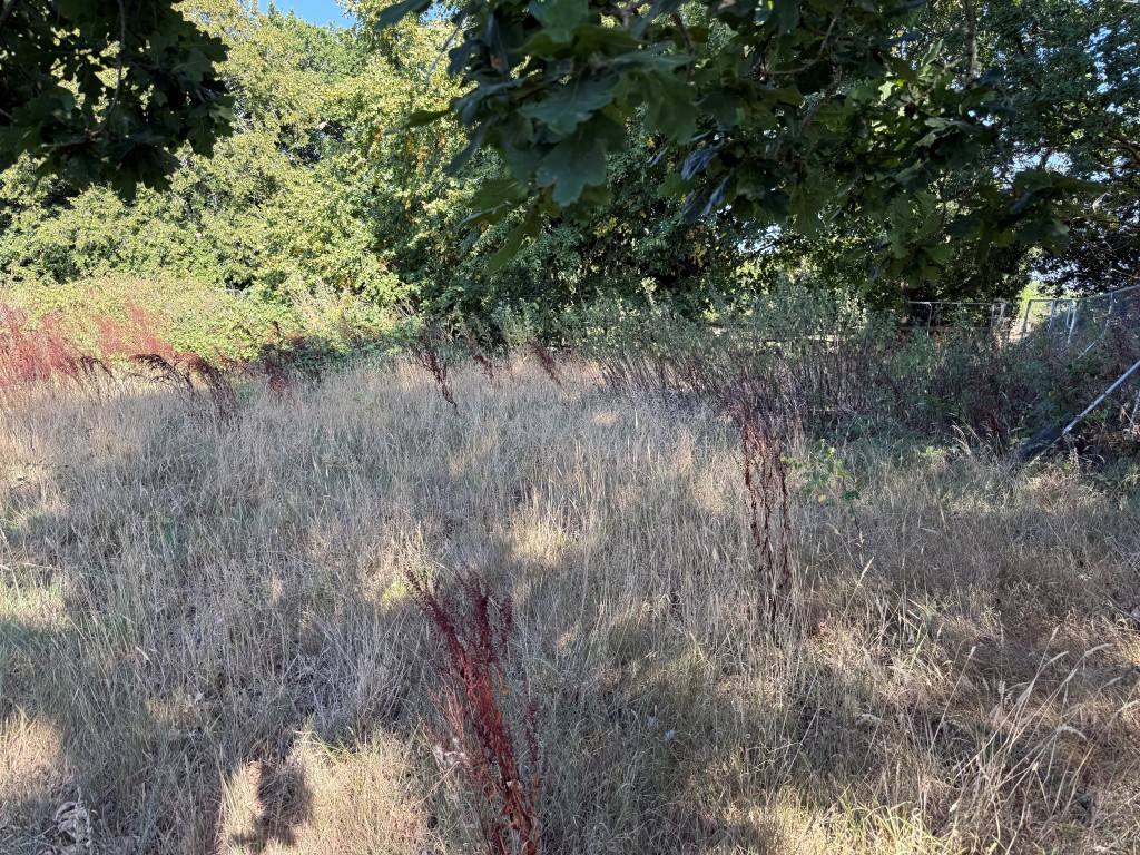 Lot: 17 - BUILDING PLOT IN SOUGHT AFTER EAST SUSSEX VILLAGE - further image over land